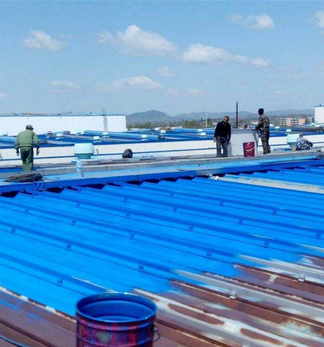 丙烯酸彩瓦漆用漆