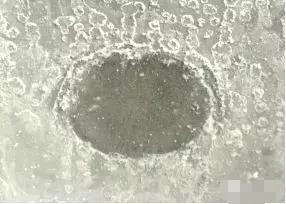 水性無機富鋅底漆的反應機理示意圖